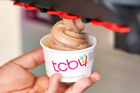 TCBY Dairy-Free Menu Guide with Vegan Options