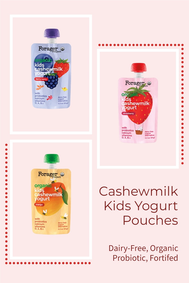 Forager Kids Cashewmilk Yogurt Pouches Reviews and Info - Dairy-free, gluten-free, soy-free, and vegan-friendly