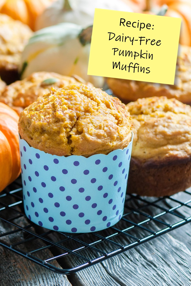 Perfect Dairy-Free Pumpkin Muffins Recipe - simple, easy, uses everyday ingredients. Also nut-free, soy-free, and options for egg-free.